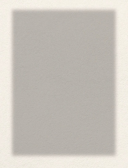 63d79d2c50890_large